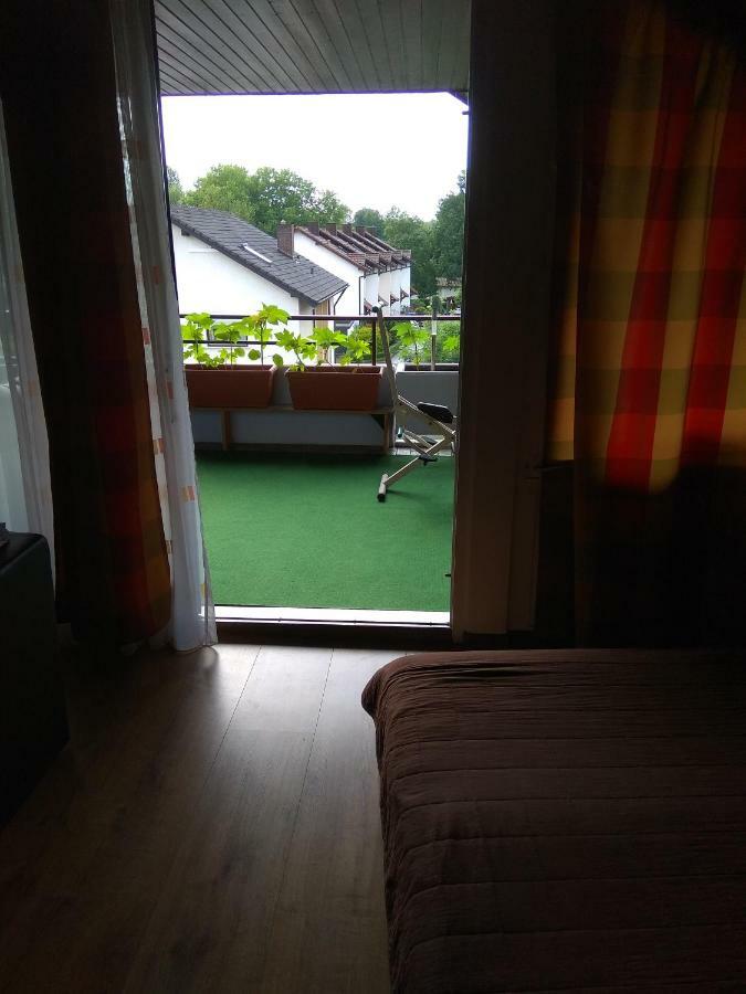 Am Waldmattensee Apartment Kippenheimweiler